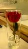 rose swensens