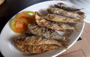 tawilis