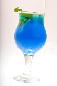 spice fusion mint punch