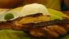 Paa (Chicken Tigh)